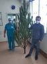 Олег Шаронов передал елки в медицинские учреждения
